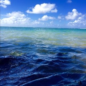 Meet your Posher, Bryzen